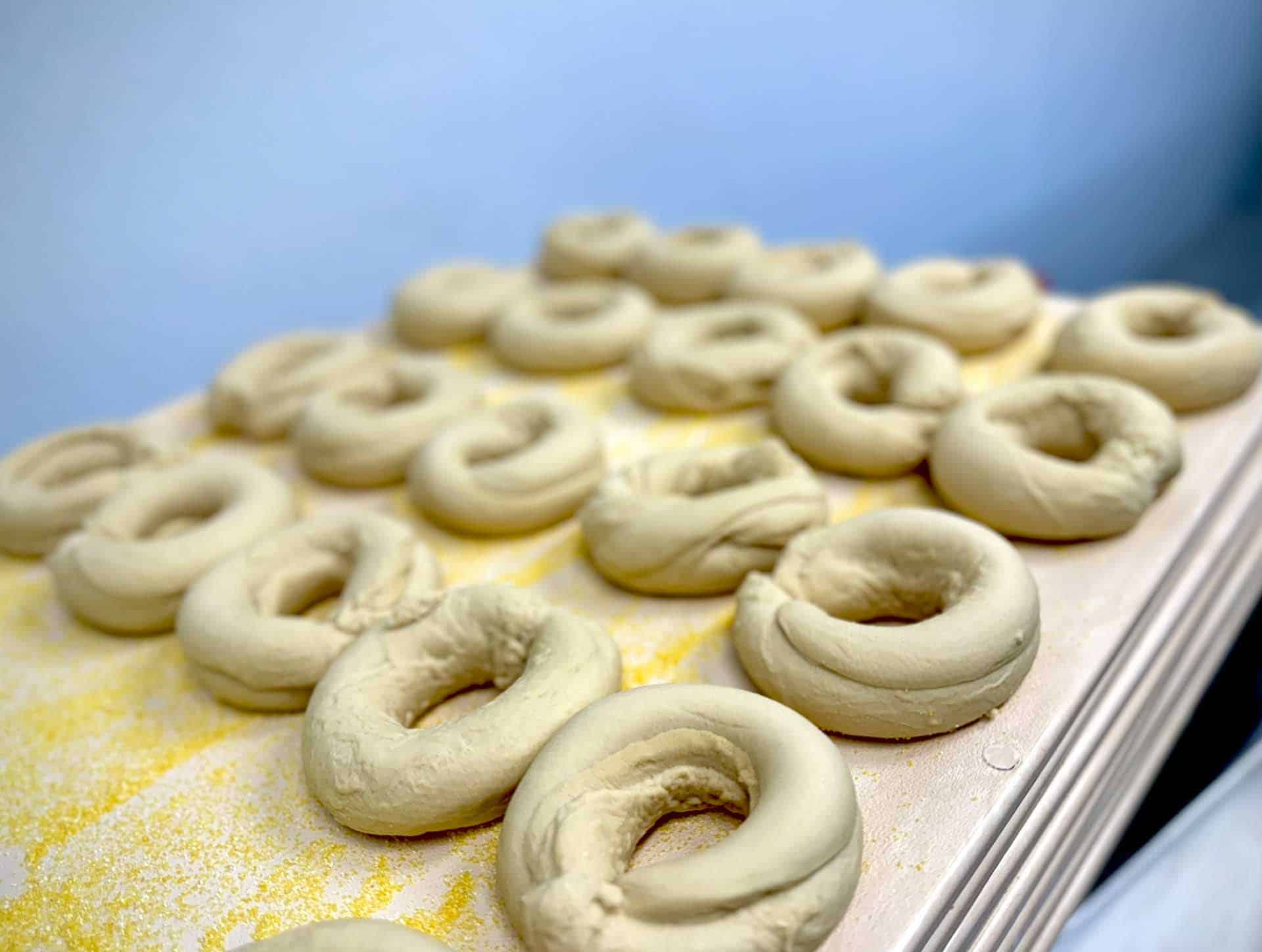 Bagels ready for baking in our kitchen at a Fat Bagels.